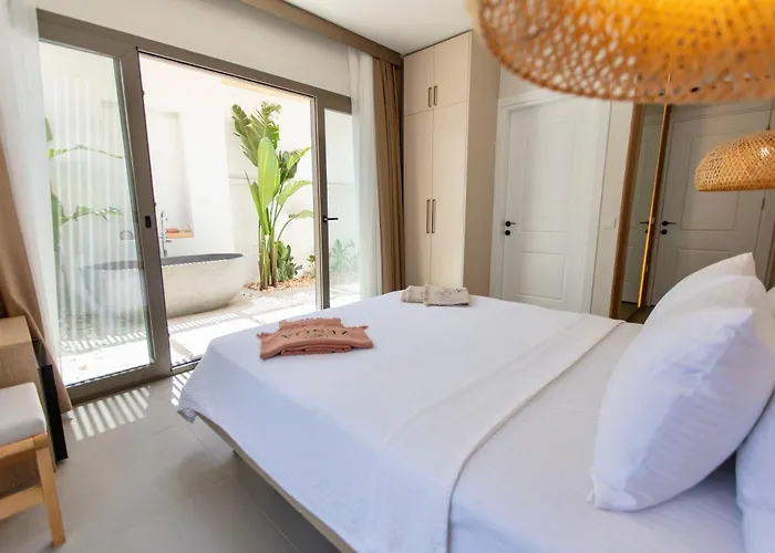 Zenoa ألاتشاتي