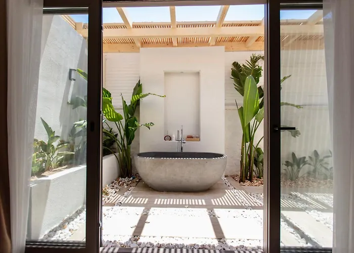 Zenoa ألاتشاتي