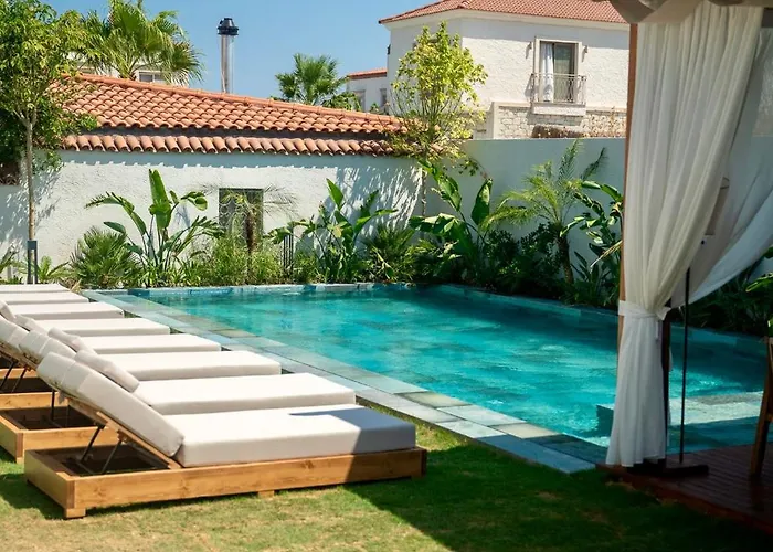 Zenoa * ألاتشاتي